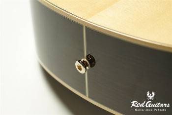 F130-GA Sitka Spruce / Indian Rosewood